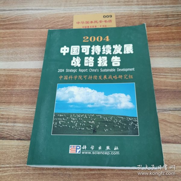 2004中国可持续发展战略报告