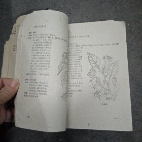 60年: 南宁市药物志 （第二辑）缺封皮.内容全 带有勘误表