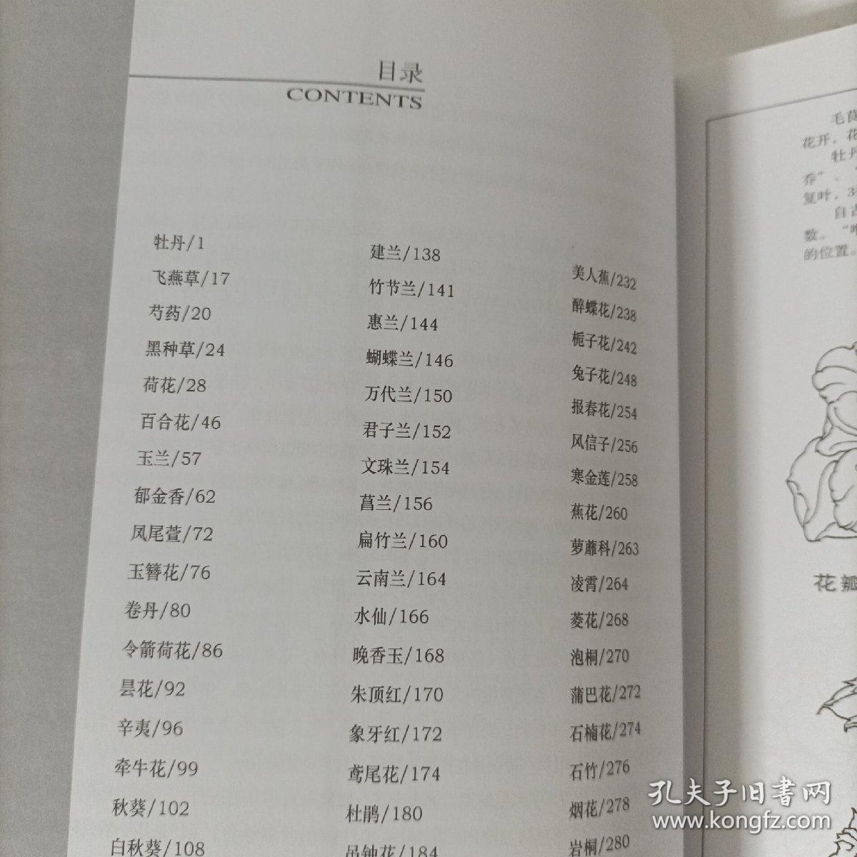 中国画实用范图：白描花卉