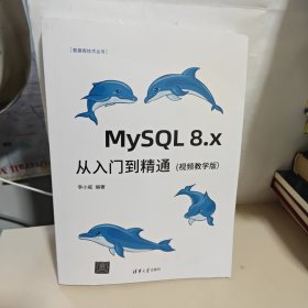 MySQL 8.x从入门到精通（视频教学版）