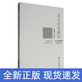 北大中東研究