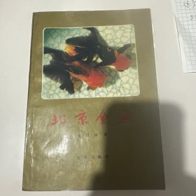 北京金鱼