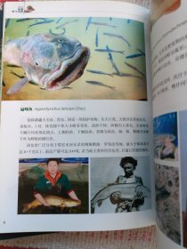 图览新疆野生植物 图览新疆野生动物（两本合售）