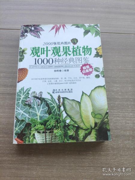 观叶观果植物1000种经典图鉴（超值白金版）