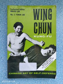 wing chun kungfu永春功夫（英文）