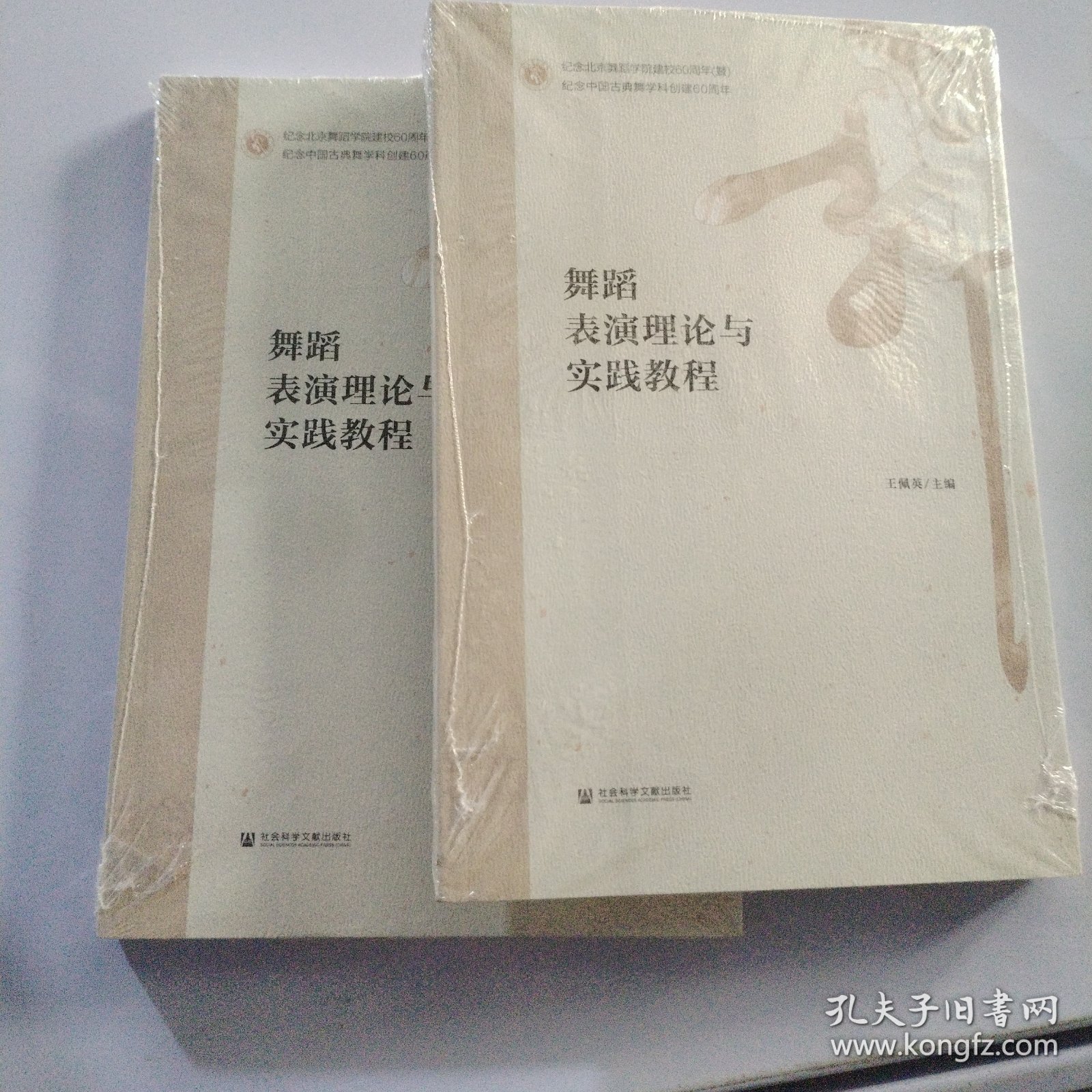 舞蹈表演理论与实践教程