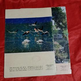 人民画报（1981年6.7