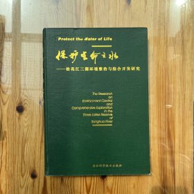 保护生命之水:松花江三湖环境整治与综合开发研究