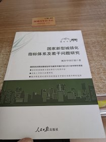 国家新型城镇化指标体系及若干问题研究