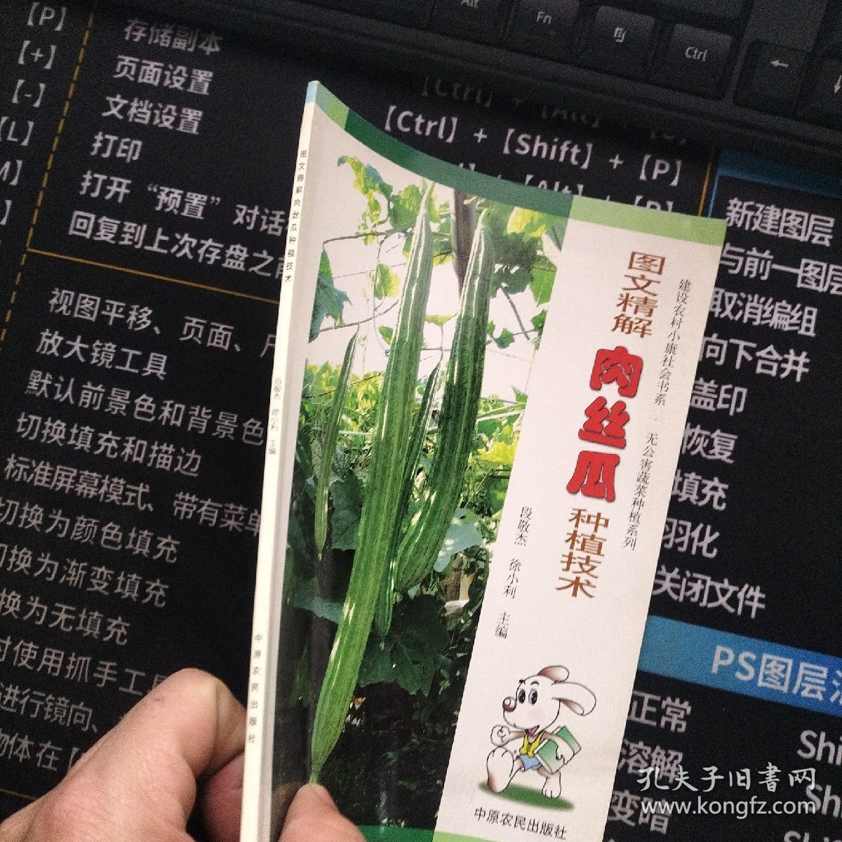 图文精解肉丝瓜种植技术