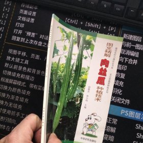 图文精解肉丝瓜种植技术