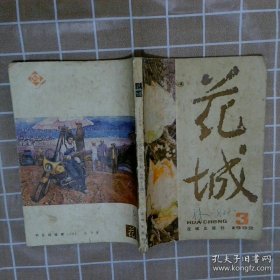 1982年花城第3集