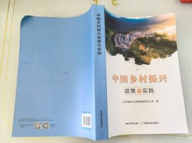 中国乡村振兴政策与实践