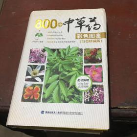 800种中草药彩色图鉴（白金珍藏版）