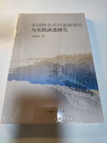 中国特色共同富裕理论与实践演进研究