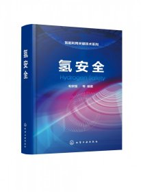 【假一罚四】氢安全(精)/氢能利用关键技术系列毛宗强