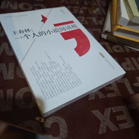 王春林：一个人的小说阅读榜