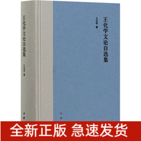 王化学文论自选集