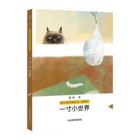 一寸小世界（萧萍儿童文学精品书系·美酷系列） 萧萍  山东教育出版社