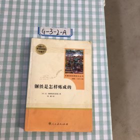 统编语文教材配套阅读 八年级下：钢铁是怎样炼成的/名著阅读课程化丛书