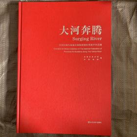 大河奔腾：全国沿黄九省省会画院联盟优秀美术作品集