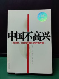 中国不高兴：大时代大目标及我们的内忧外患