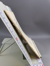 国标针灸经穴奇穴人体模型