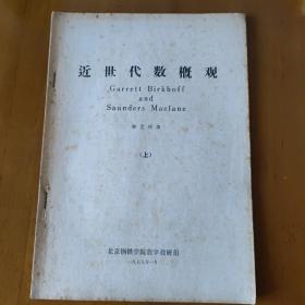 近代数学概观 上