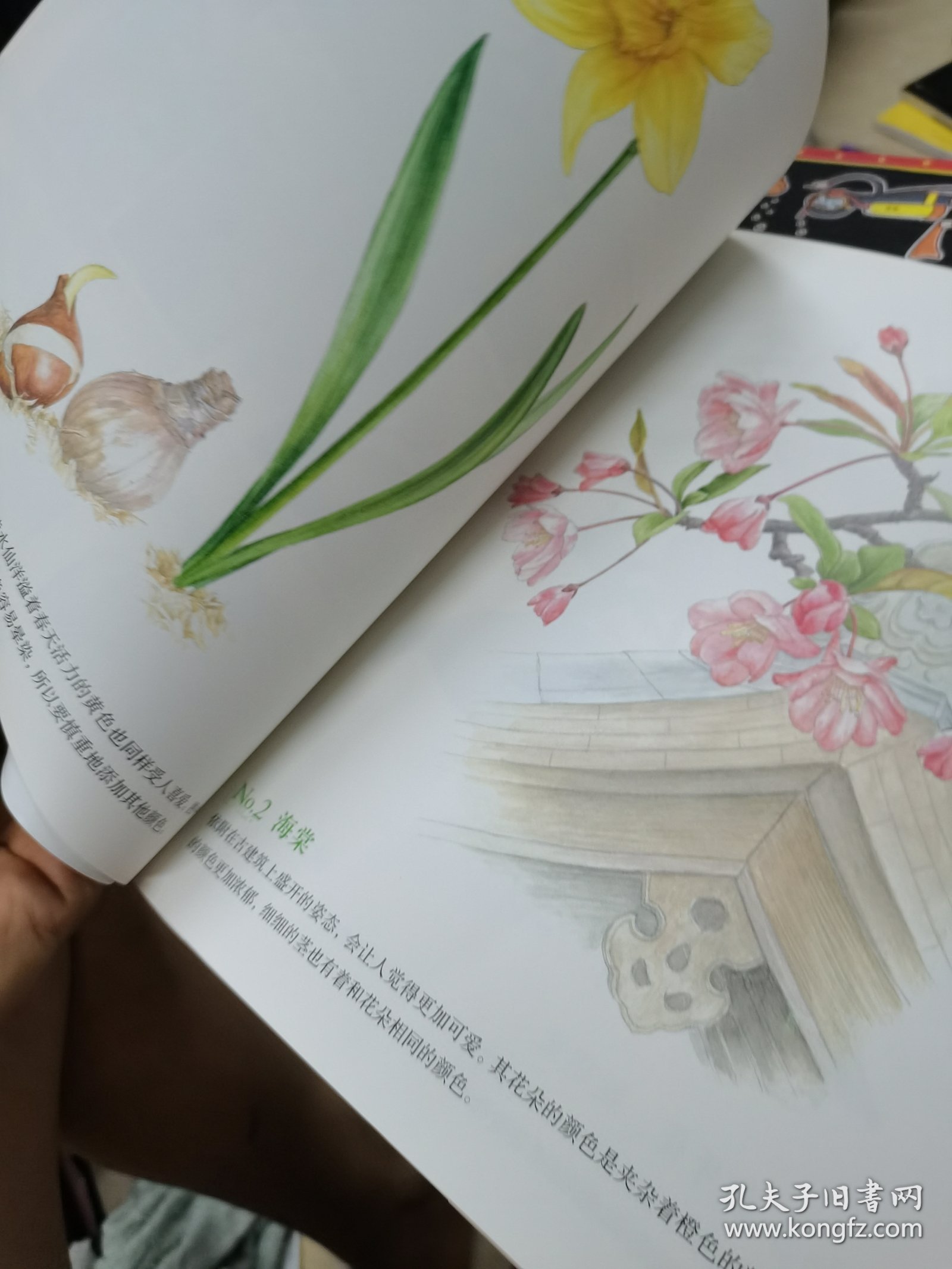 大人的涂绘01：春日花绘