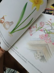 大人的涂绘01：春日花绘