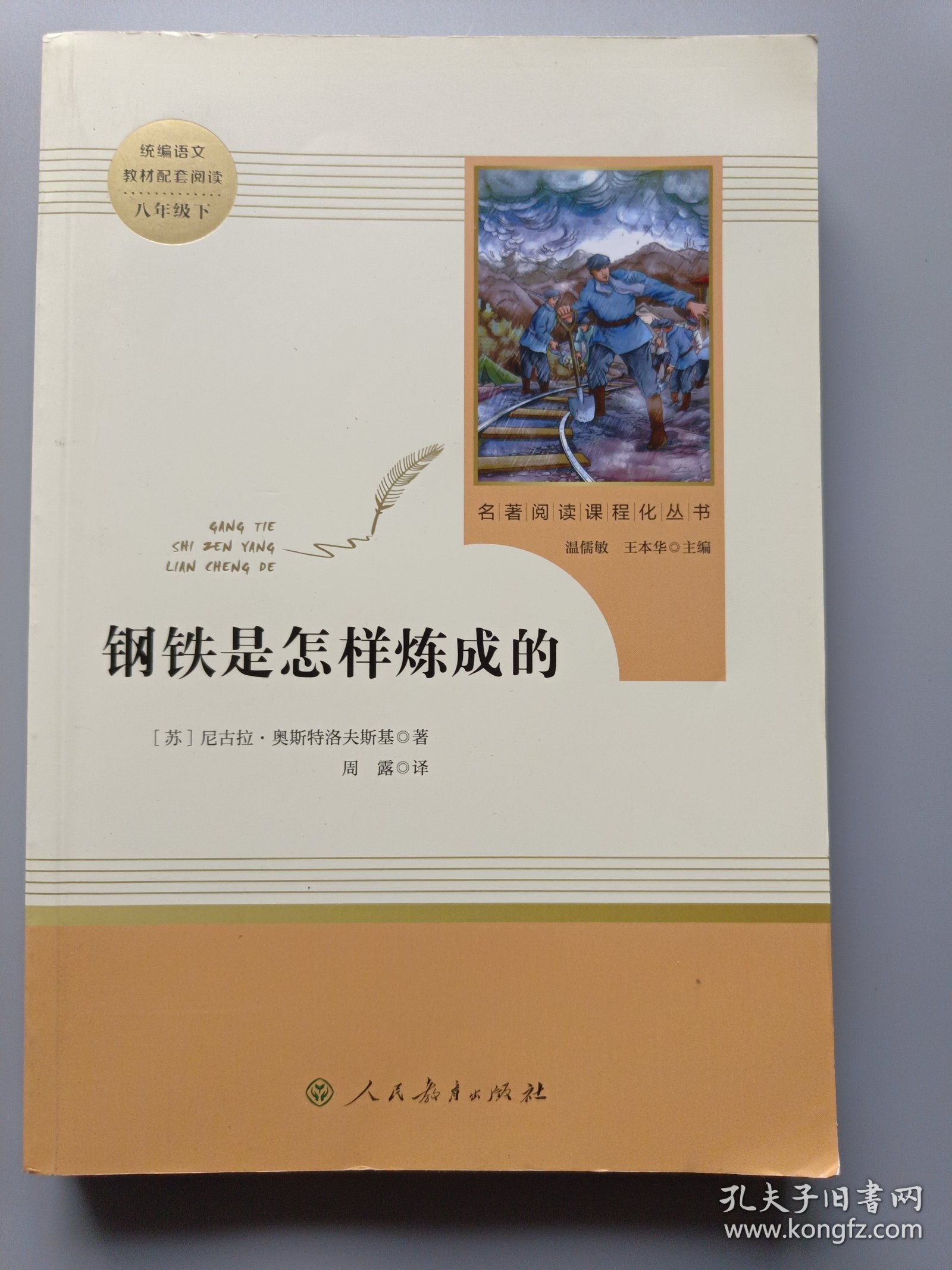 统编语文教材配套阅读 八年级下：钢铁是怎样炼成的/名著阅读课程化丛书