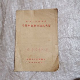 毛泽东思想永远放光芒