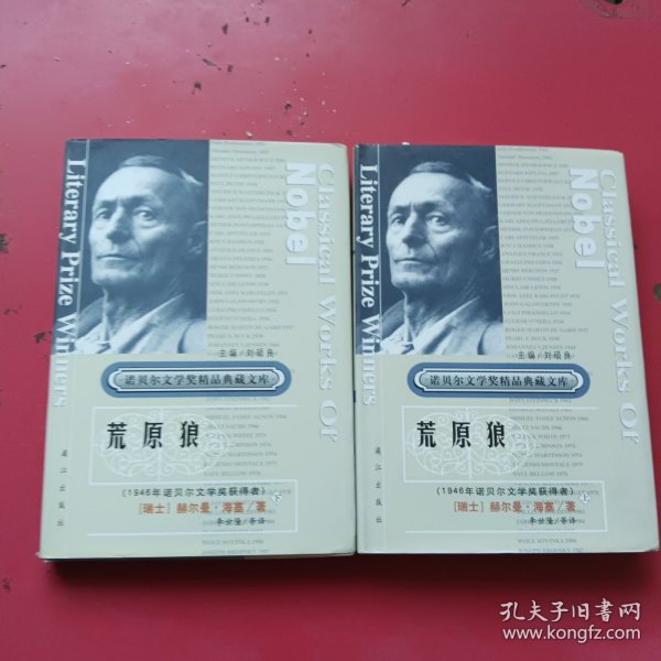 获诺贝尔文学奖精品典藏文库：荒原狼（上下册）