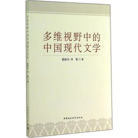 多维视野中的中国现代文学 魏韶华 正版图书