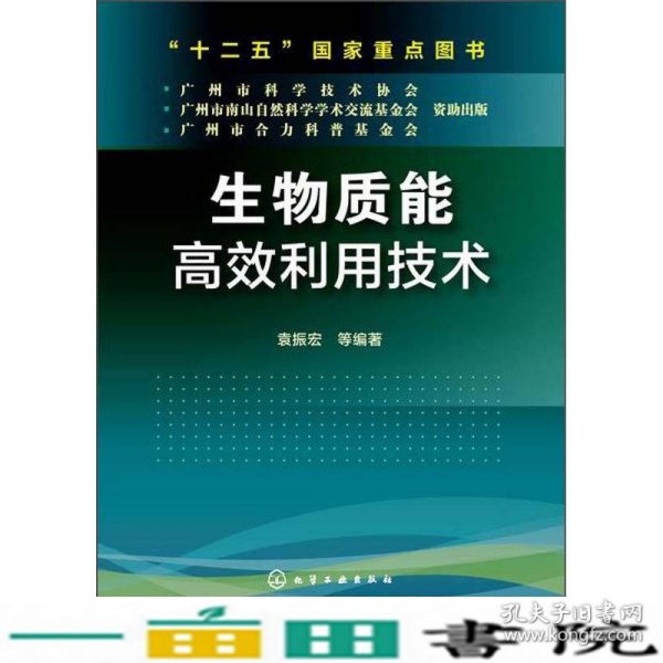 生物质能高效利用技术