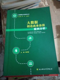 大数据创造商业价值案例分析/大数据丛书系列