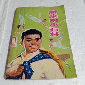 新来的小石柱