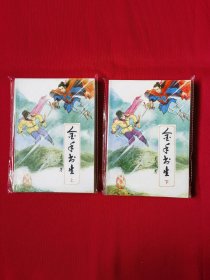 金手书生