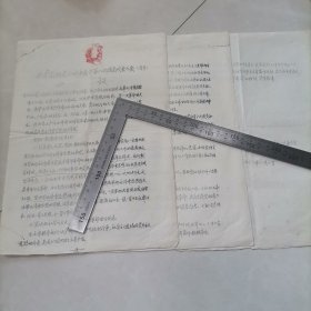 共青团鲍家公社委员会第八次团员代表大会（1966）保真包老