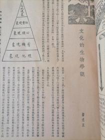 《东方杂志》民国20年1月10日，第28卷 第1号，内容涉及：“日本所谓新满蒙铁路政策者”“中国经济及其复兴问题”“一九三一年的中国与世界”“中国民族与中庸之道（蔡元培）”“民生主义与财产自由”“文化的生物学观”“中国画之认识”“睡眠姿态的研究”等，史料性强，本期罕见，需者取之