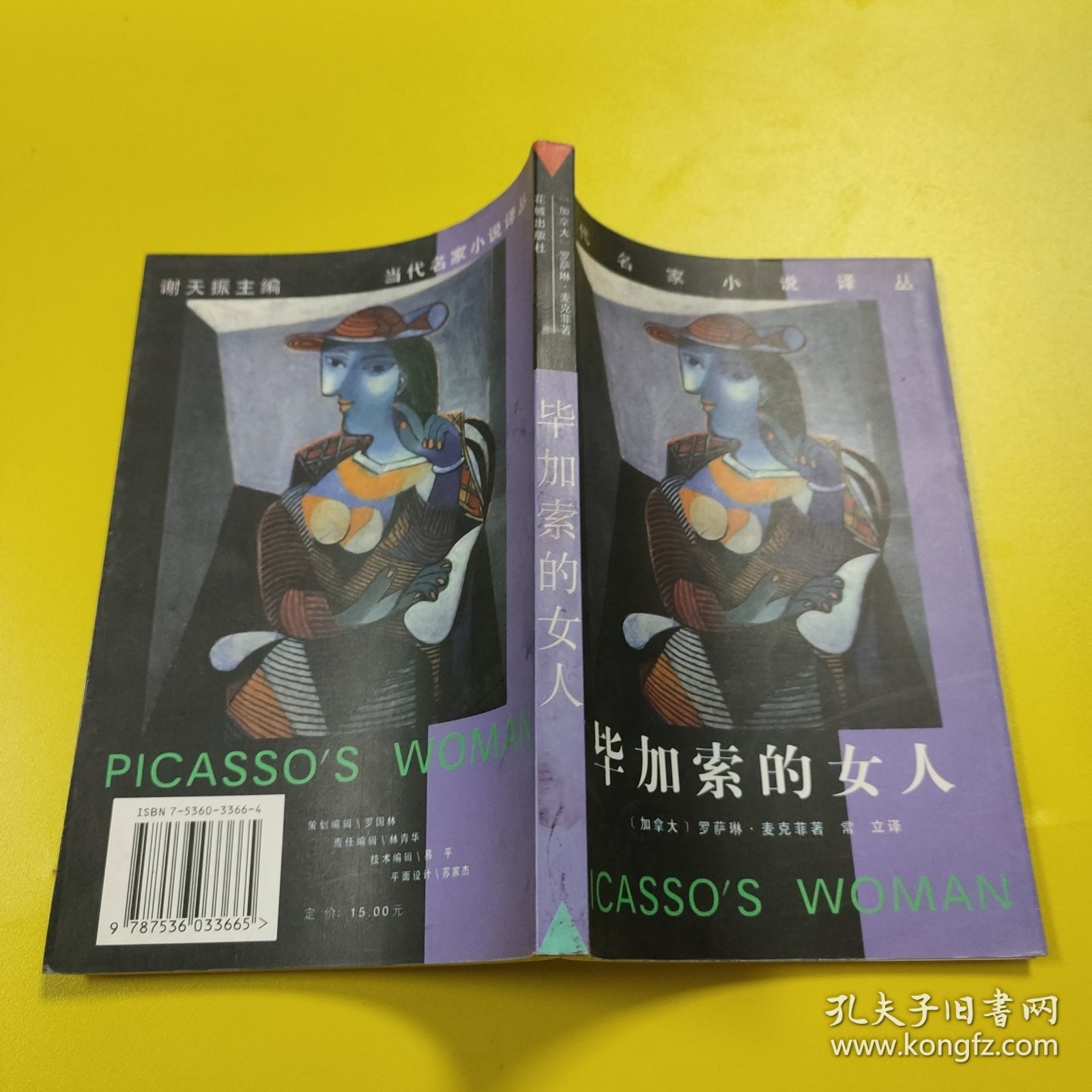 当代名家小说译丛:毕加索的女人