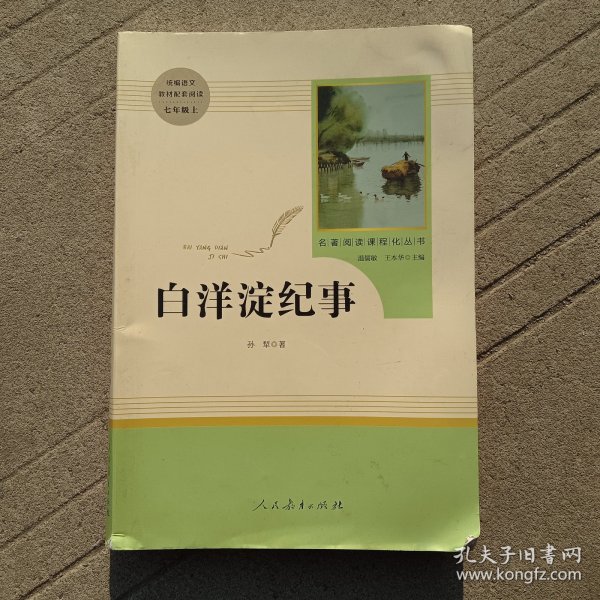 白洋淀纪事 名著阅读课程化丛书（统编语文教材配套阅读）七年级上