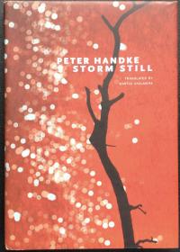 Peter Handke《Storm Still》