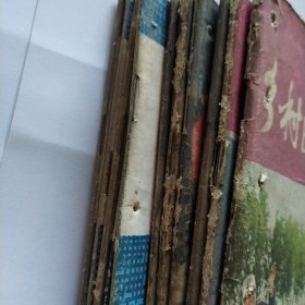 乡村医学杂志