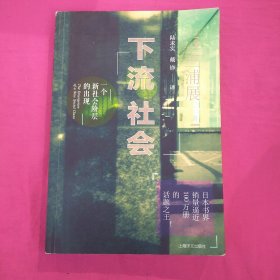 下流社会：一个新社会阶层的出现