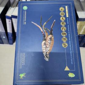 云南天然药物图鉴.第八卷.Vol.8