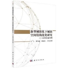 新型城镇化下城镇空间结构优化研究 ——以河北省为例 9787030582379 王飞 科学出版社