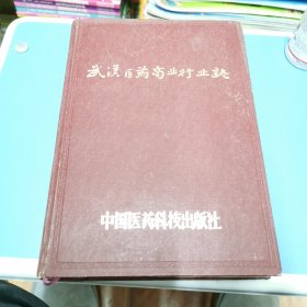 武汉医药商业行业志