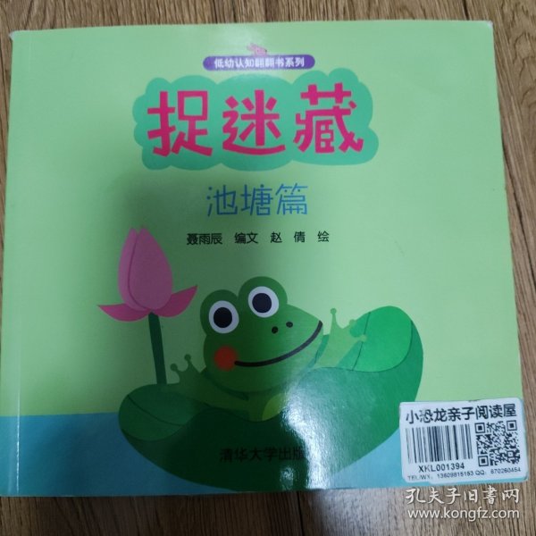 低幼认知翻翻书系列：捉迷藏（池塘篇）