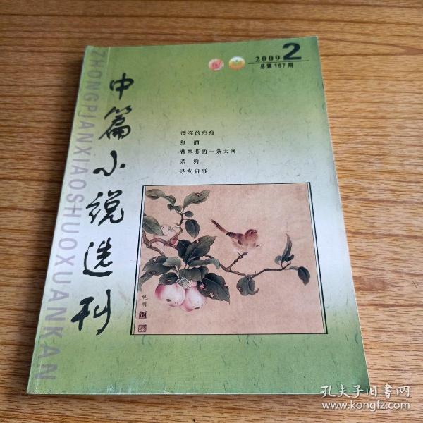 中篇小说选刊2009.2（文学双月刊）